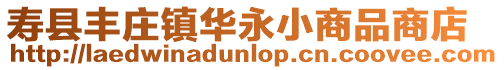壽縣豐莊鎮華永小商品商店