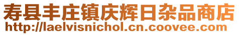 壽縣豐莊鎮慶輝日雜品商店