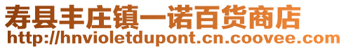 壽縣豐莊鎮(zhèn)一諾百貨商店