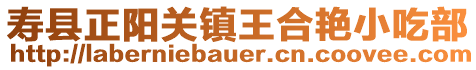 壽縣正陽關鎮王合艷小吃部
