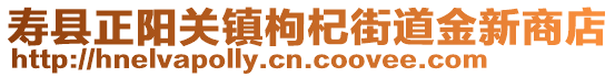壽縣正陽關鎮枸杞街道金新商店