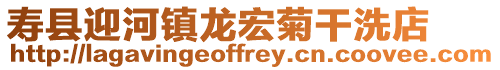 壽縣迎河鎮(zhèn)龍宏菊干洗店
