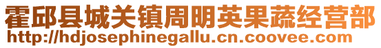 霍邱縣城關(guān)鎮(zhèn)周明英果蔬經(jīng)營部