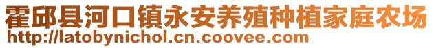霍邱縣河口鎮永安養殖種植家庭農場