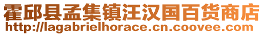 霍邱縣孟集鎮汪漢國百貨商店
