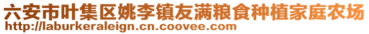 六安市葉集區姚李鎮友滿糧食種植家庭農場