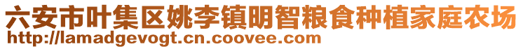 六安市葉集區(qū)姚李鎮(zhèn)明智糧食種植家庭農(nóng)場