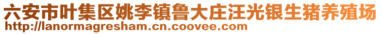 六安市葉集區(qū)姚李鎮(zhèn)魯大莊汪光銀生豬養(yǎng)殖場