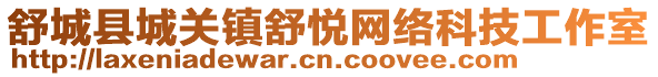 舒城縣城關(guān)鎮(zhèn)舒悅網(wǎng)絡(luò)科技工作室