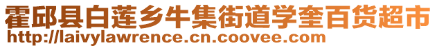 霍邱縣白蓮鄉(xiāng)牛集街道學奎百貨超市