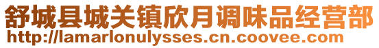 舒城縣城關(guān)鎮(zhèn)欣月調(diào)味品經(jīng)營(yíng)部