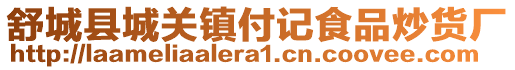 舒城县城关镇付记食品炒货厂