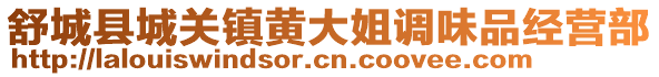 舒城县城关镇黄大姐调味品经营部