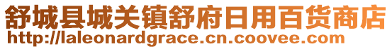 舒城縣城關(guān)鎮(zhèn)舒府日用百貨商店