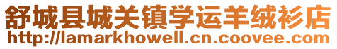 舒城縣城關鎮學運羊絨衫店