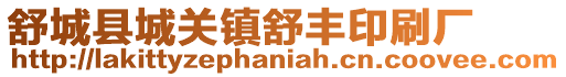 舒城縣城關鎮舒豐印刷廠