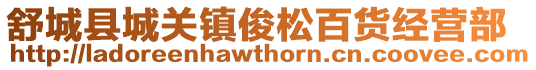 舒城县城关镇俊松百货经营部