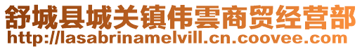 舒城縣城關(guān)鎮(zhèn)偉雲(yún)商貿(mào)經(jīng)營部