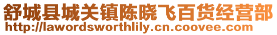 舒城縣城關(guān)鎮(zhèn)陳曉飛百貨經(jīng)營部