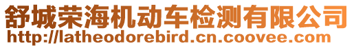 舒城榮海機動車檢測有限公司