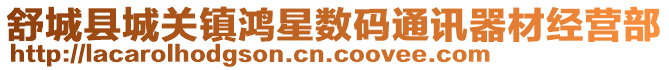 舒城縣城關鎮鴻星數碼通訊器材經營部