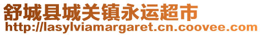 舒城縣城關(guān)鎮(zhèn)永運超市