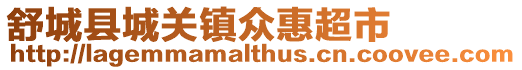 舒城縣城關鎮眾惠超市