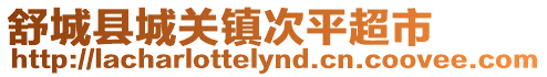舒城縣城關鎮次平超市