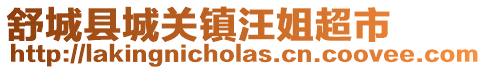 舒城縣城關(guān)鎮(zhèn)汪姐超市