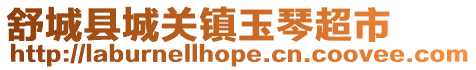 舒城縣城關鎮玉琴超市