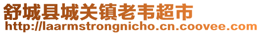 舒城縣城關鎮老韋超市