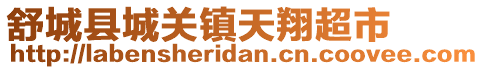 舒城縣城關鎮天翔超市