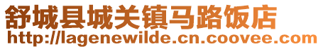 舒城縣城關鎮馬路飯店