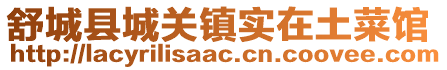 舒城縣城關鎮實在土菜館