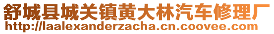 舒城縣城關鎮黃大林汽車修理廠