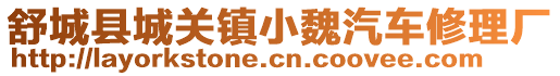 舒城縣城關(guān)鎮(zhèn)小魏汽車修理廠