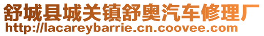 舒城縣城關(guān)鎮(zhèn)舒奧汽車修理廠