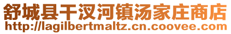 舒城縣干汊河鎮湯家莊商店