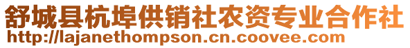 舒城縣杭埠供銷社農(nóng)資專業(yè)合作社