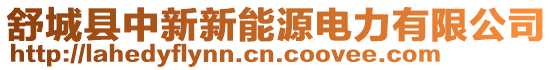 舒城縣中新新能源電力有限公司