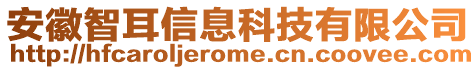 安徽智耳信息科技有限公司