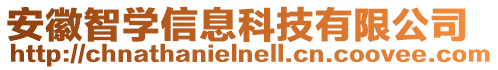 安徽智學信息科技有限公司