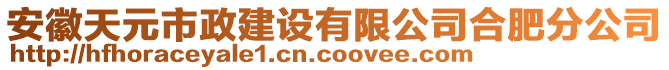 安徽天元市政建設(shè)有限公司合肥分公司