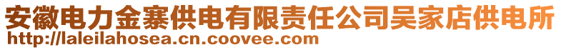 安徽電力金寨供電有限責(zé)任公司吳家店供電所