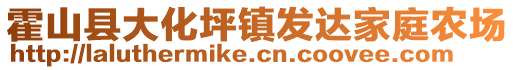 霍山县大化坪镇发达家庭农场