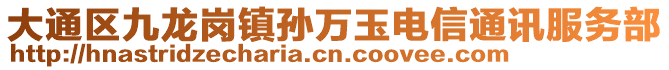 大通區(qū)九龍崗鎮(zhèn)孫萬(wàn)玉電信通訊服務(wù)部