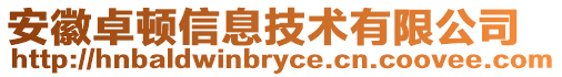 安徽卓頓信息技術(shù)有限公司