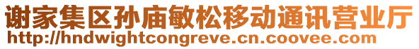 謝家集區(qū)孫廟敏松移動(dòng)通訊營(yíng)業(yè)廳