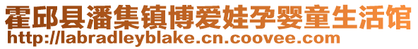 霍邱縣潘集鎮(zhèn)博愛娃孕嬰童生活館