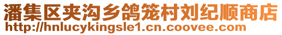 潘集區(qū)夾溝鄉(xiāng)鴿籠村劉紀(jì)順商店